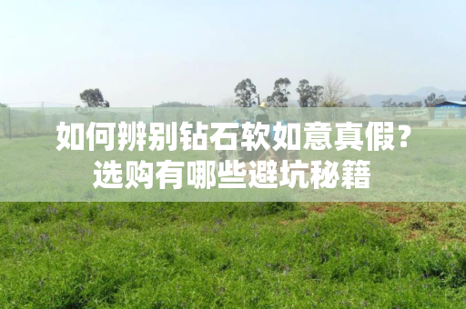 如何辨别钻石软如意真假？选购有哪些避坑秘籍